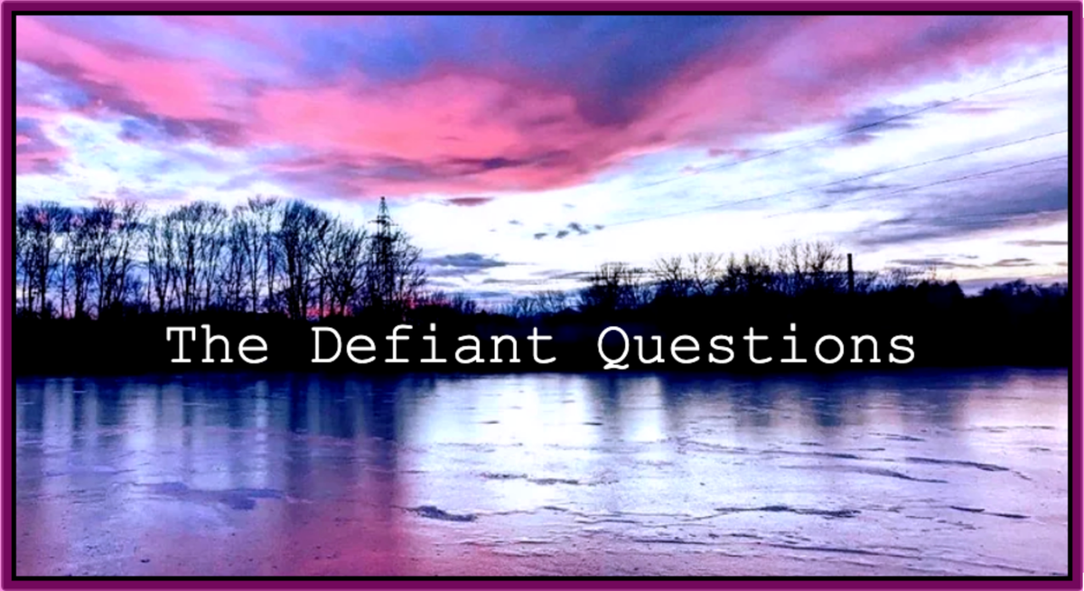 Landscape with a pond, a treeline, and sky at sunset in the pink and blue colors of the trans pride flag. Type in the center of the image reads "The Defiant Questions"
